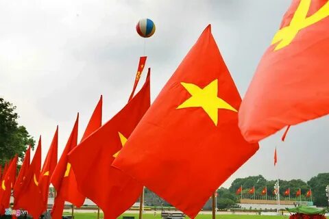 Forestival 2025 và Hotspot Matrix: Một sự kiện video ngắn độc đáo_Phân phối video đa kênh
