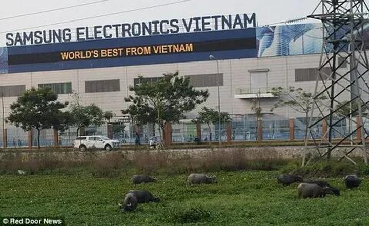 Hotspot Matrix: Biến Cặp đôi đóng mẹ con trên phim thành cơ hội marketing đột phá